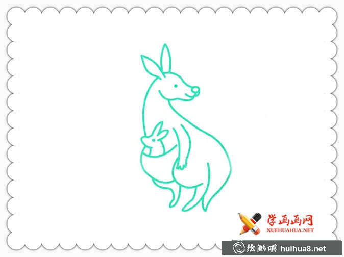 袋鼠简笔画图片大全(5)