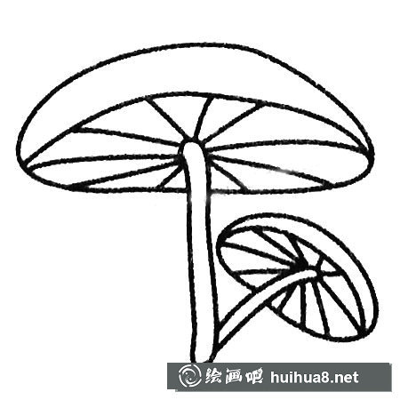 各种各样的蘑菇简笔画图片大全