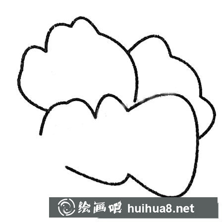 白菜简笔画大全及画法步骤