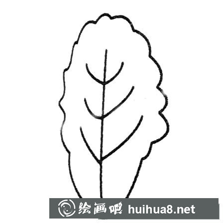 白菜简笔画大全及画法步骤
