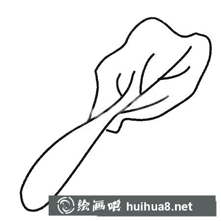 白菜简笔画大全及画法步骤