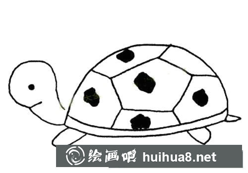 简单的乌龟简笔画图片大全