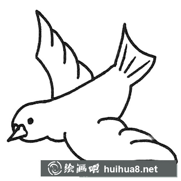 鸽子简笔画图片1