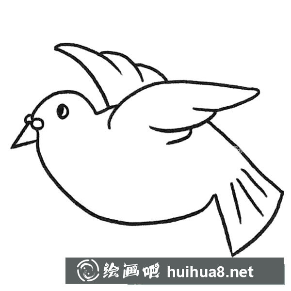 鸽子简笔画图片2
