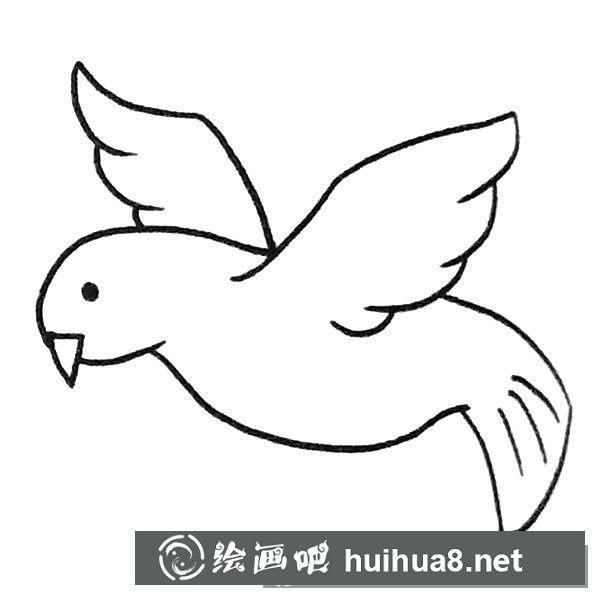 鸽子简笔画图片3