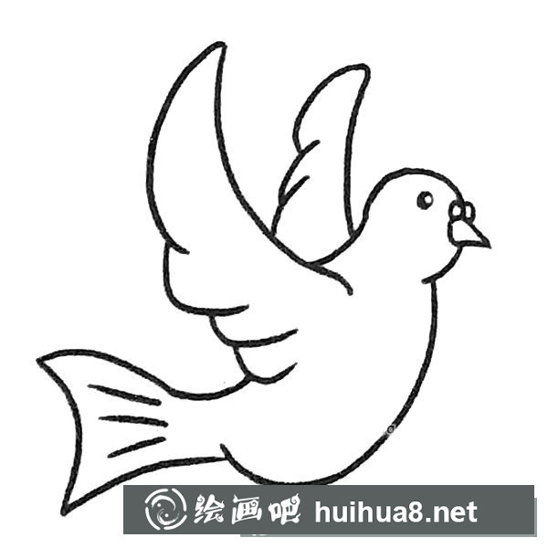 鸽子简笔画图片4