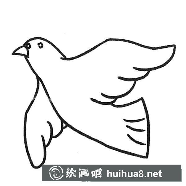 鸽子简笔画图片5