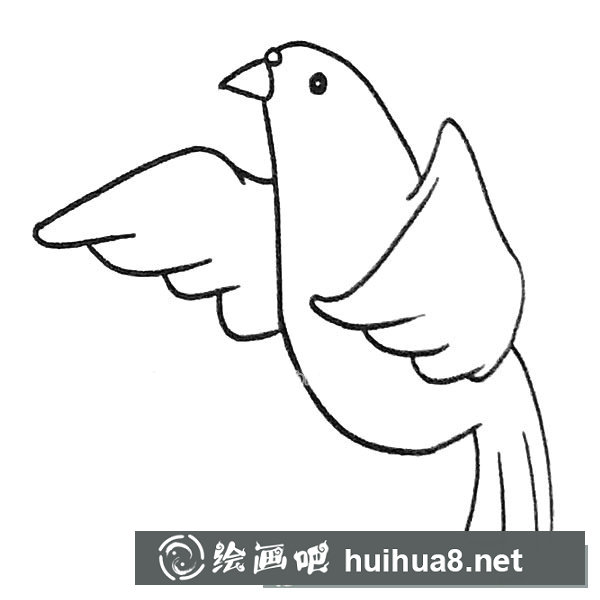鸽子简笔画图片6