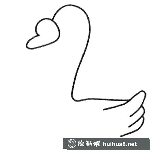 天鹅简笔画步骤3