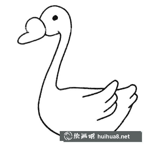 天鹅简笔画步骤4