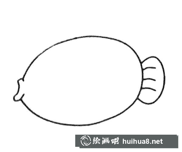 神仙鱼简笔画步骤2