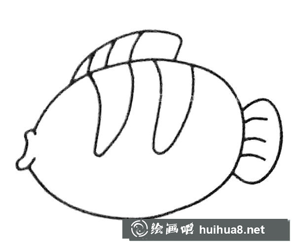 神仙鱼简笔画步骤3