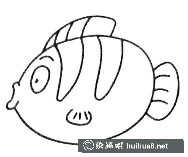 神仙鱼简笔画步骤4